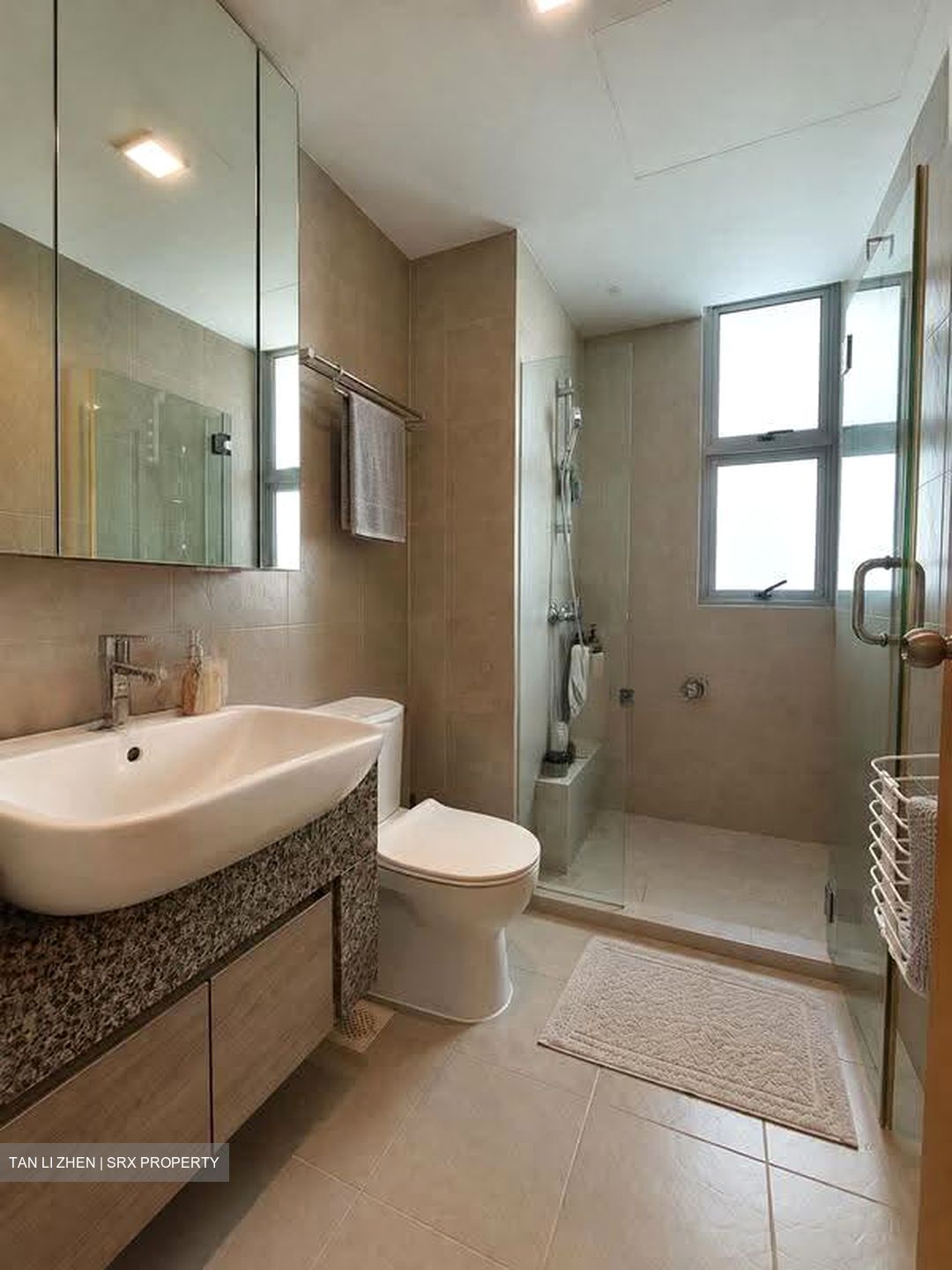 Lakeholmz (D22), Condominium #630750691